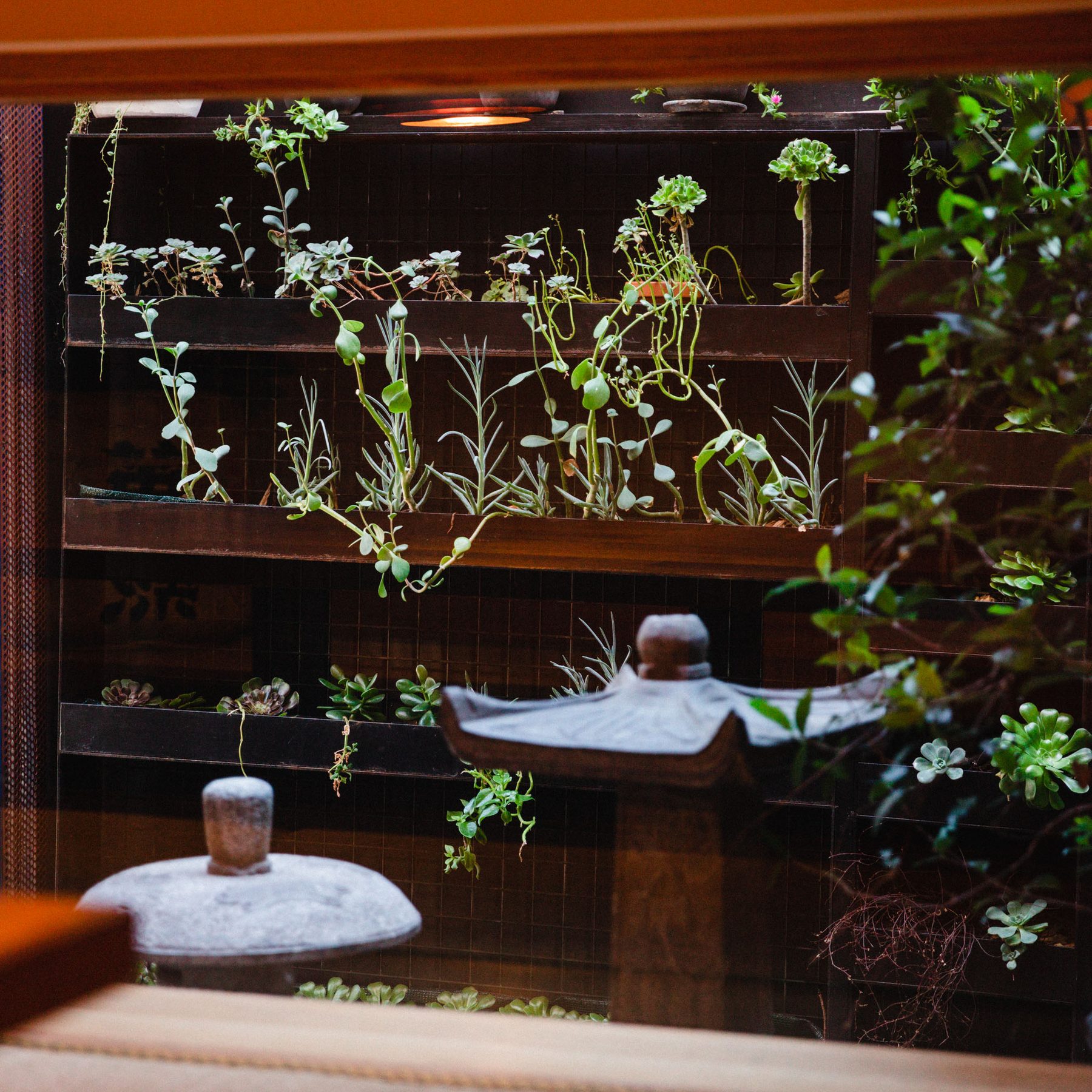 The planted outdoor patio
